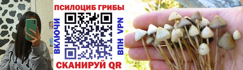 Псилоцибиновые грибы мицелий  Купить  Симферополь 